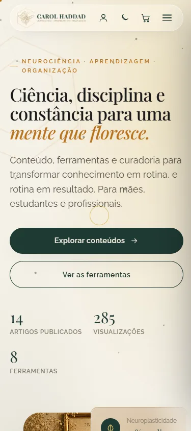 Tela do projeto no celular: Carol Haddad